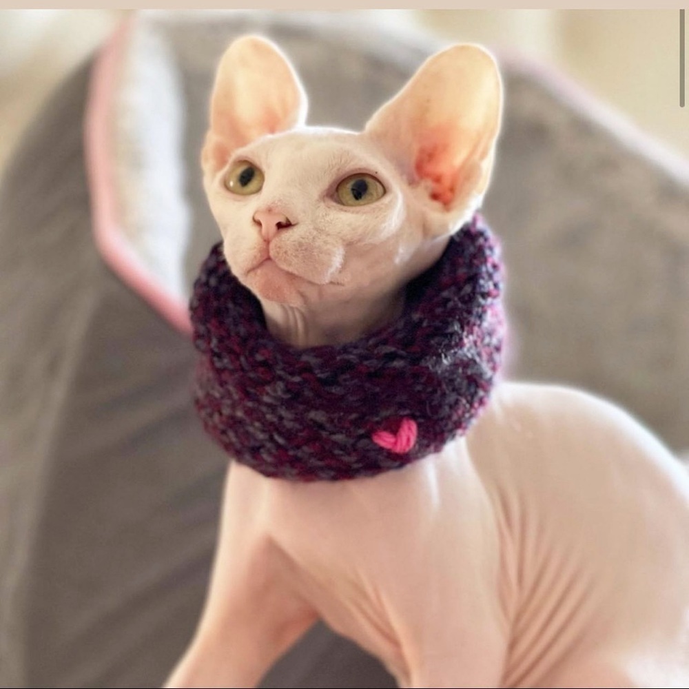 NEW - Handmade Ombré | Calming Scarf | Cowl Scarf | Circle Scarf for Sphynx Cat
